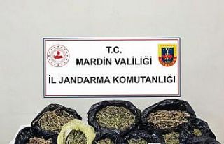 Mardin’de uyuşturucu ticareti yapan şahıs tutuklandı