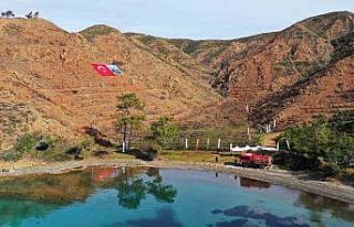 Marmaris Gölge Koyu’nda ağaçlandırma çalışması...