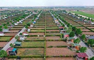 Meram Hobi Bahçeleri’nde hak sahipleri belli oldu