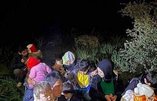 Milas’ta 7’si çocuk 16 düzensiz göçmen yakalandı