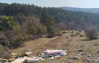 Mobilya eşyalarını doğaya attılar