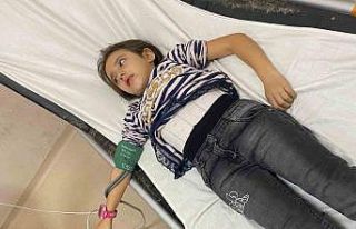 Müdür Yardımcısının bahçede beslediği köpekler...