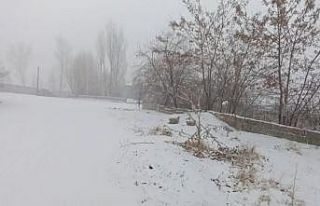 Muradiye’de kar yağışı