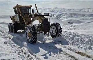 Muş’ta 250 köy yolu kapandı
