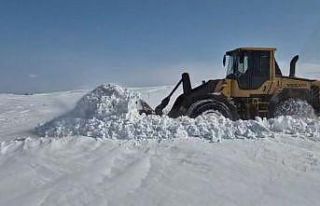 Muş’ta 32 köy yolu ulaşıma açıldı