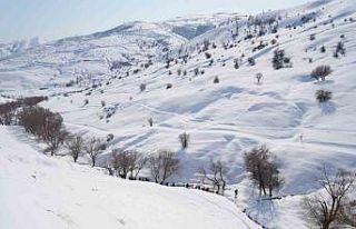 Muş’ta doğa tutkunları Karlı Dere’yi gezdi