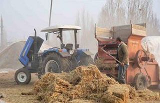 Muş’ta kış ortasında patoz mesaisi