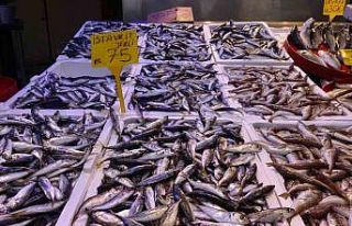 Mutlu’dan av yasağı uzatılsın çağrısı