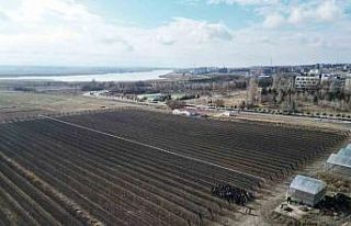 Niğde’de ’Meyve Ağacı Budama Eğitimi’ düzenlendi