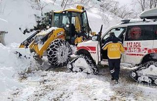 OBB, bir günde 2 bin 366 kilometre yolu ulaşıma...
