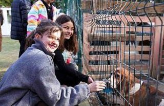 Öğrencilerden can dostlara anlamlı bağış