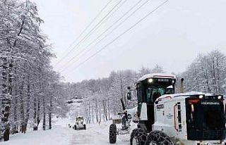 Ordu’da kardan kapanan 465 mahalle yolundan 342’si...