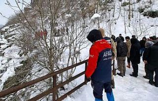 Ordu’da kaybolan kadın için arama çalışması...