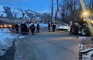 Otomobil elektrik direğine çarptı: 2 yaralı