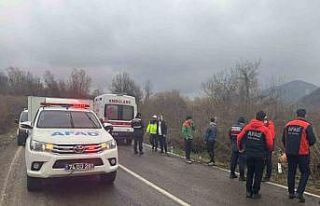 Otomobil şarampole uçtu: 2 yaralı