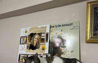 (ÖZEL) Depremde kızını kaybeden baba hayvan sevgisiyle...