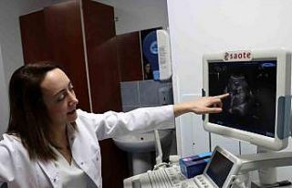 Öztürk, "Sezaryen, tıbbi gereklilik halinde...