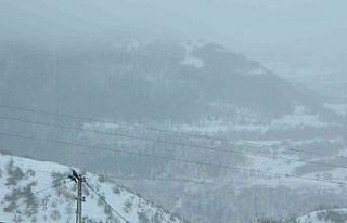 Posof güne karla uyandı