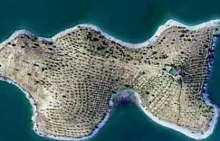 "Robinson Crusoe" Ziya dede hastalandı,...