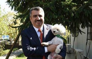 Sahiplenilen hayvanın 1 yıllık muayenesi Yıldırım...