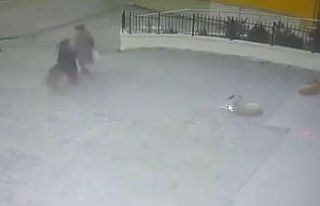 Sahipsiz köpeğin yaşlı kadına saldırdığı...