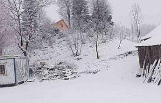 Sakarya’nın yüksek kesimleri beyaz gelinliğini...