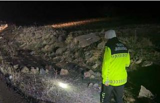 Şanlıurfa’da başından vurulan kadın hayatını...