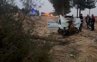 Şanlıurfa’da otomobil ağaca çarptı: 4 yaralı