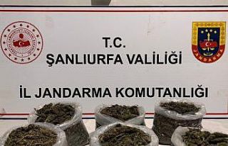 Şanlıurfa’da uyuşturucu operasyonu: 16 gözaltı