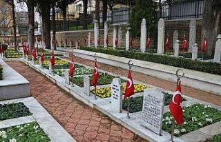 Şehitlikte çiçekler açtı