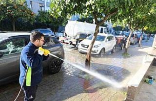 Selçuk sokaklarında temizlik harekâtı
