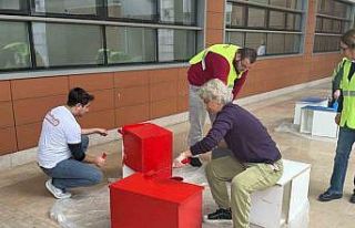 Sevimli can dostlar yeni yuvalarına kavuştu