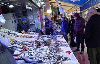 Sibirya soğukları hamsiye yaradı
