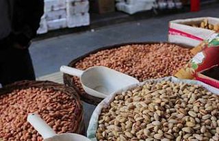 Siirt fıstığı resmen tescilleniyor