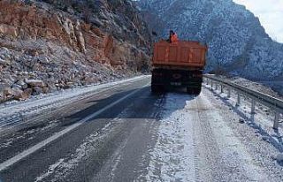 Siirt’te buzlanmaya karşı tuzlama çalışmaları...