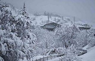 Sincik’te kartpostallık görüntüler oluştu