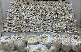 Şırnak’ta 631 milyon lira değerinde 370 kilogram...