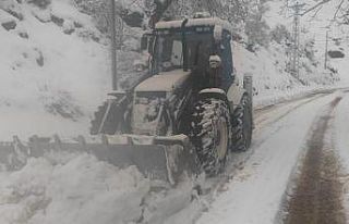 Şırnak’ta kar yağışı nedeniyle kapanan yollar...