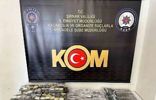 Şırnak’ta terör, kaçakçılık ve asayiş operasyonlarında...