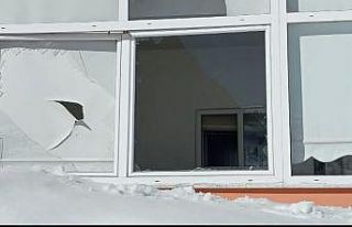 Sis Dağı’nda yiyecek bulamayan ayılar evlere...