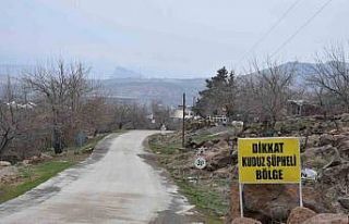 Siverek’te kuduz alarmı