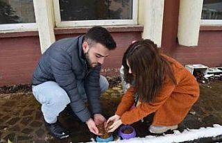 Soğuk havalarda sokak hayvanlarına OMÜ’den sıcak...