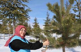 Sokak hayvanlarını unutmadılar