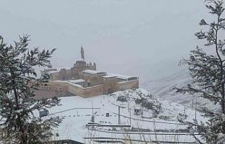 Tarihi saray beyaza büründü