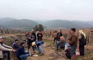 Tarım işçileri bahar havasında çalışıyor