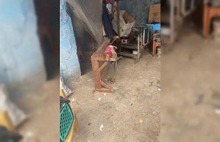 Tarsus’ta evde beslenmesi yasak maymun ve sincap...