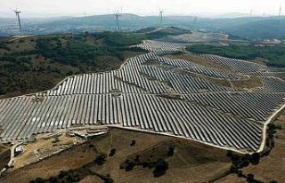 Tatlıpınar Enerji’nin 2024 yılı kârı yüzde...