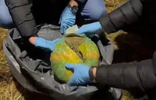 Tavuk kümesinde 13 paket uyuşturucu ele geçirildi