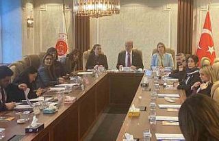 TBMM Kadına Karşı Şiddet Araştırma Komisyonu,...