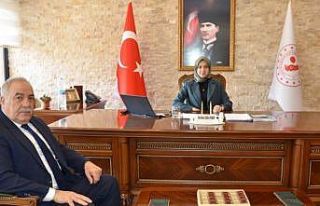 Tercan’da kurtuluş hazırlıkları devam ediyor